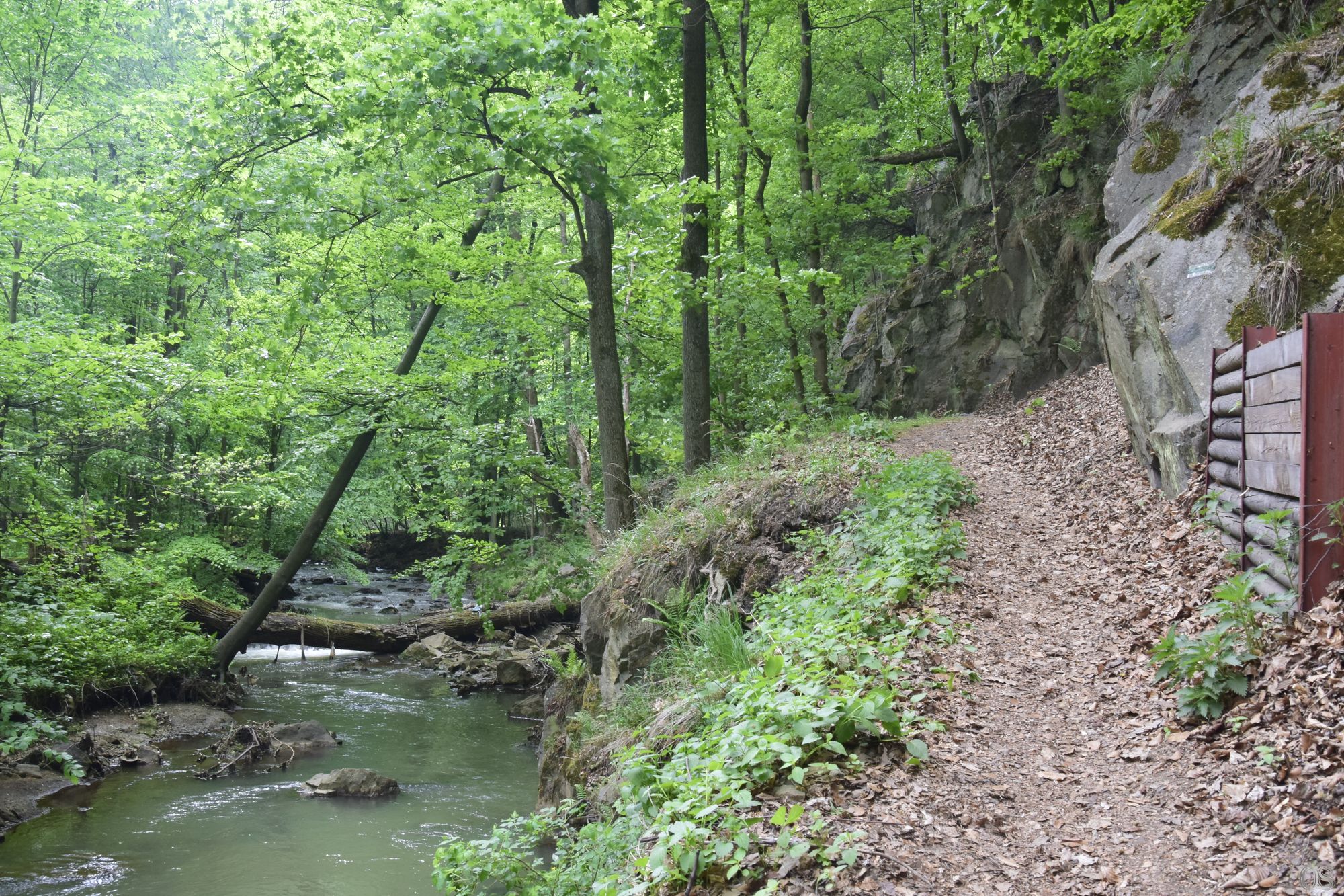 Sciezka Hochbergow 36.jpg